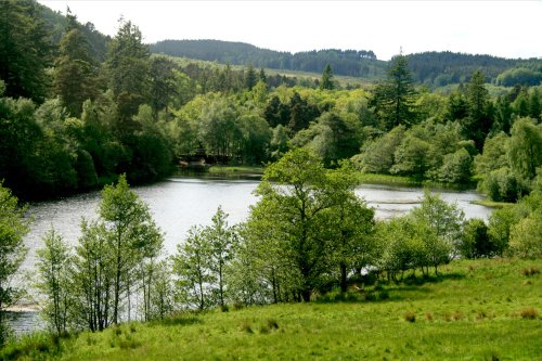 The Lake in Cragside Estate, nr Rotherbury, Northumberland.