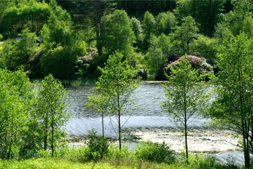 The Lake in Cragside Estate, nr Rotherbury, Northumberland.