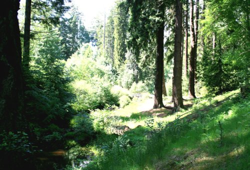 The Cragside Estate, nr Rotherbury, Northumberland.