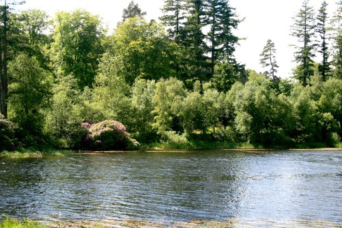 The Lake in Cragside Estate, nr Rotherbury, Northumberland.