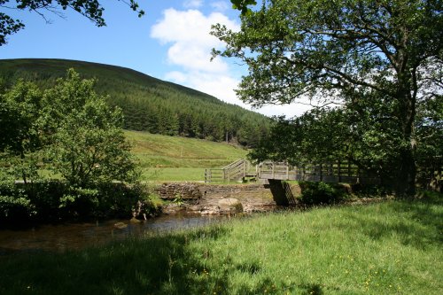 Dunsop Bridge Walk