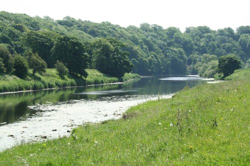 Along the River Ribble