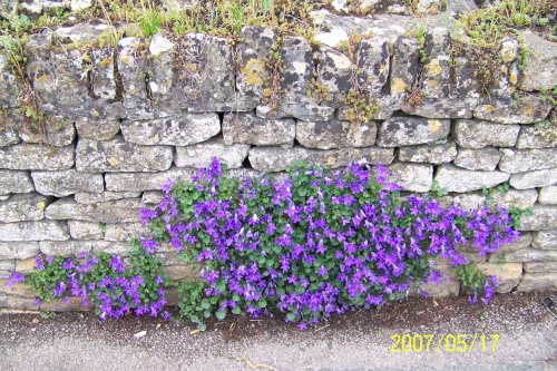 Bourton on the Water