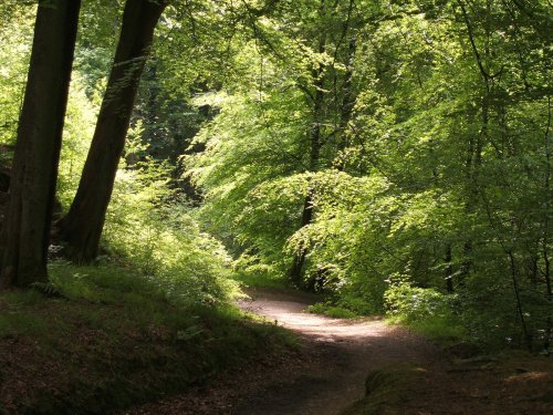 Hurst Green, Mill Wood