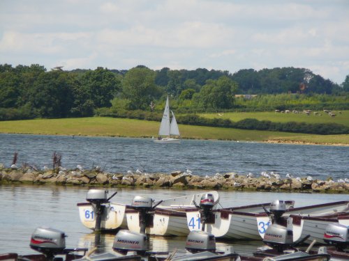 Rutland Water