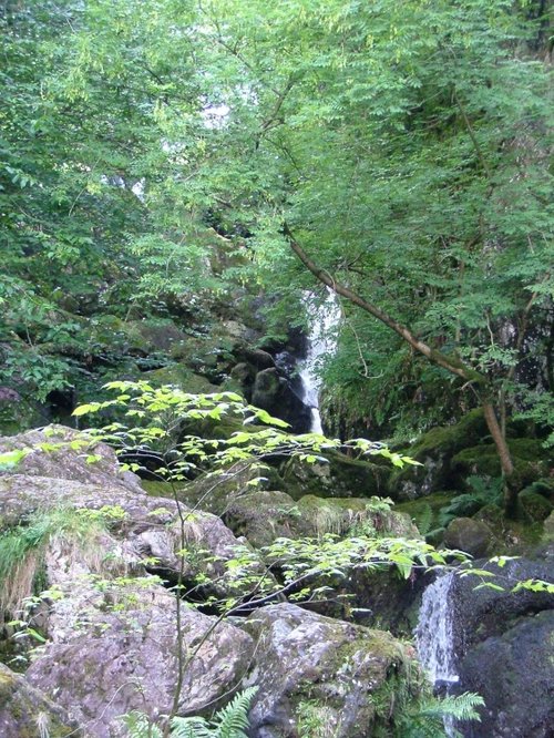 A view of Borrowdale on the shore of Derwentwater