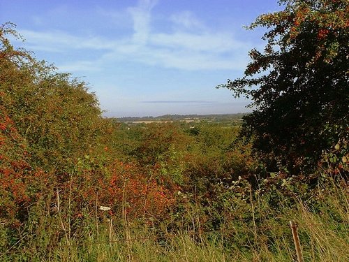 Cawston Fields