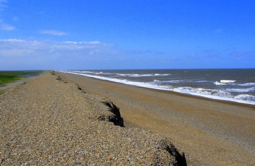 Shingle Beach