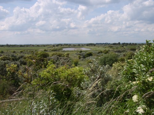 Gibraltar Point