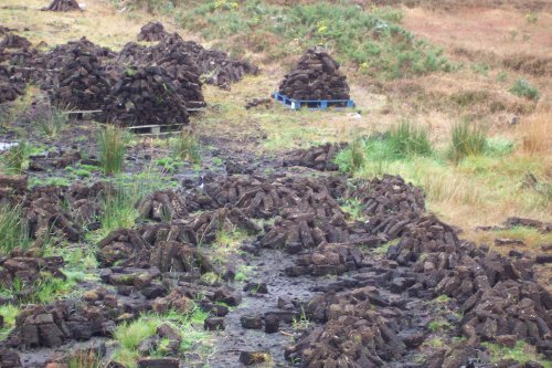 Peat bog near Foxford