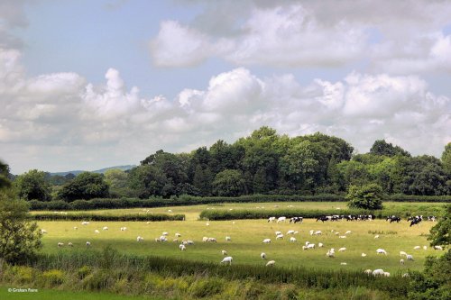 Shillingstone in Dorset