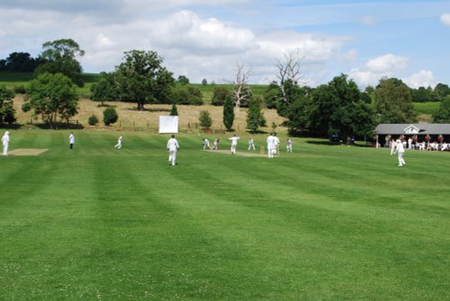 Sunday afternoon cricket