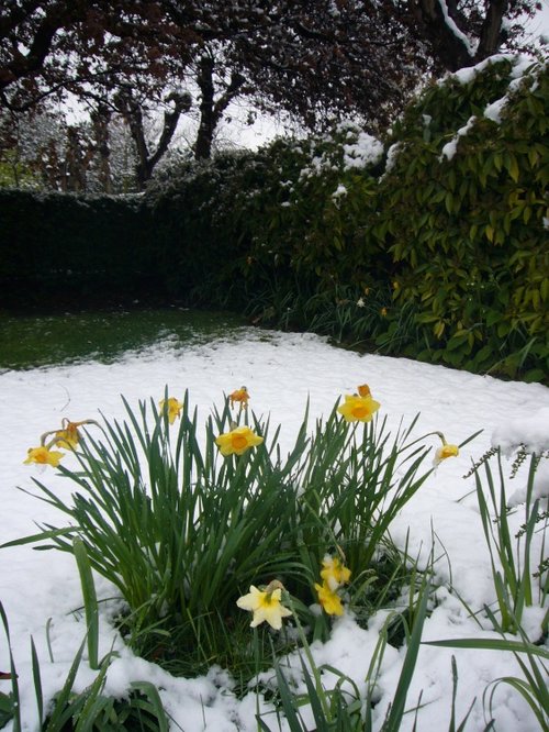 White and green