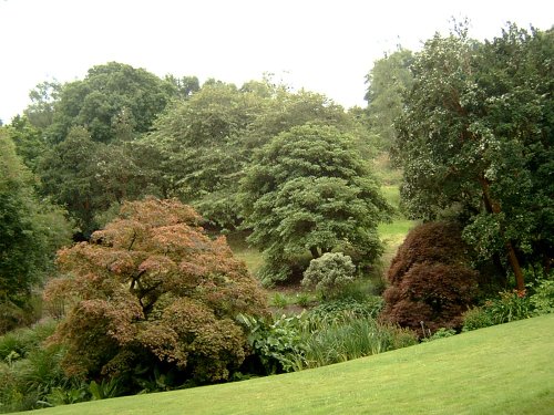 Coleton Fishacre.