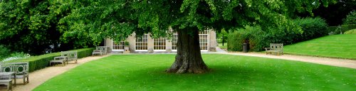 The Orangery Sherborne Castle