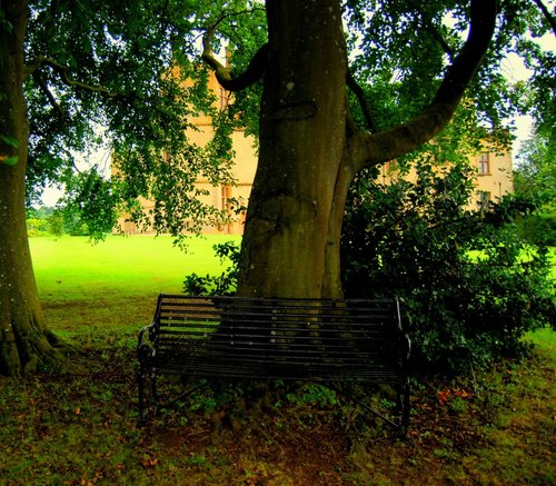 Sherborne Castle