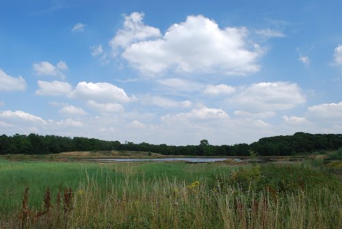 Brascote Gravel Pits, Brascote, Leics