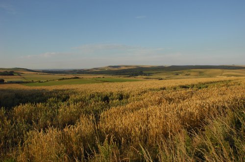 Seaford Head