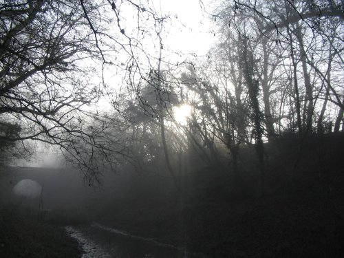 Basingstoke Canal, Up Nately