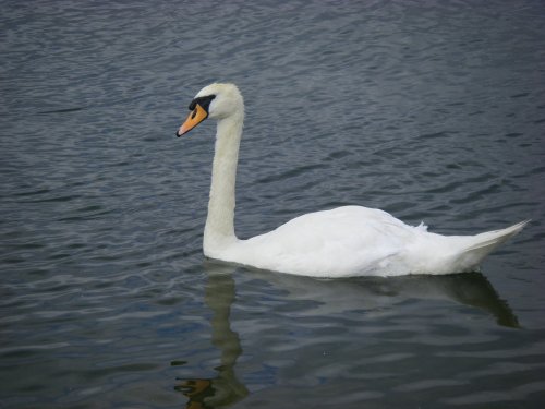 Anglers Country Park