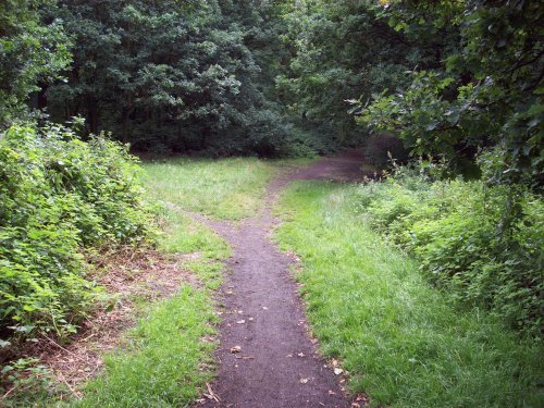 Horsenden Hills