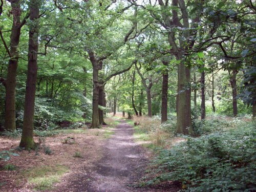 Horsenden Hills