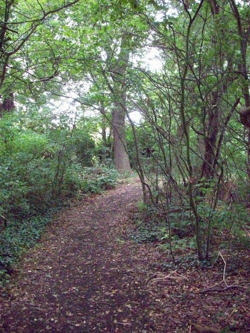 Horsenden Hills