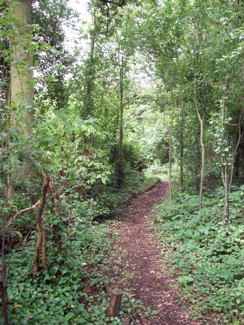 Horsenden Hills