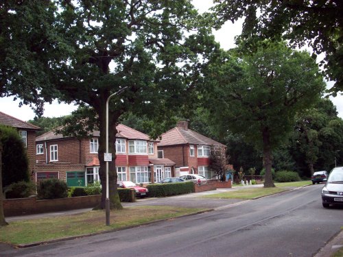 Whitton Drive