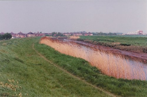 River Hull