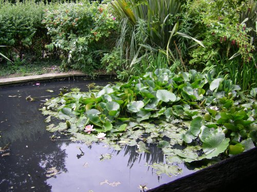 The Lawn Visitor  Centre