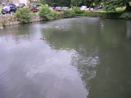 Village Pond