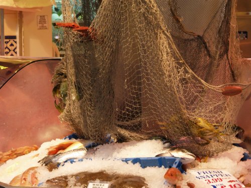 Fish stall, the Covered Market, Oxford