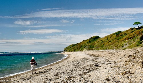 Ringstead Dorset