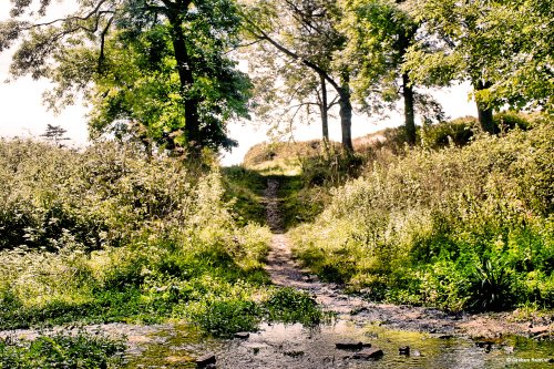 Ringstead Bay, Dorset