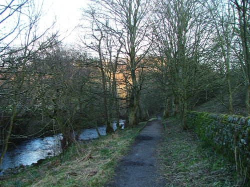 A view of Allendale