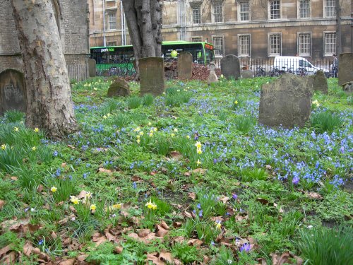 City Centre Church Yard