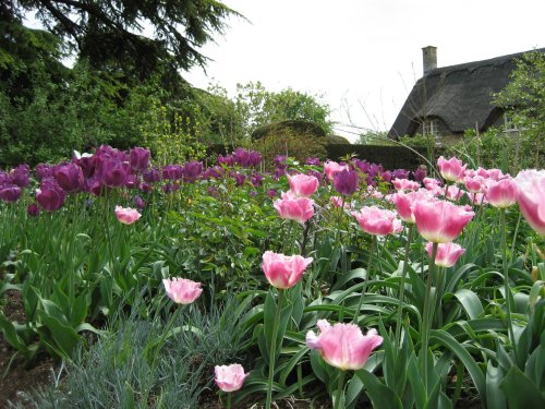 Hidcote Manor in spring