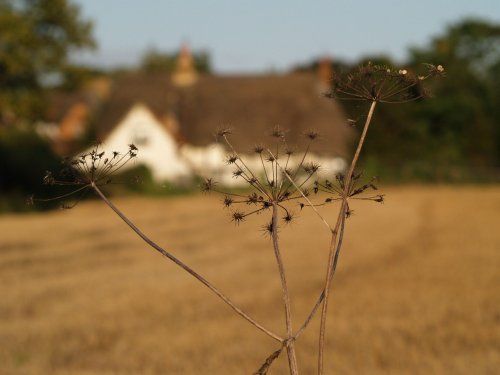 Botolph Claydon, Bucks