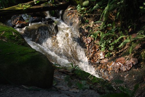 Small waterfall at Eden