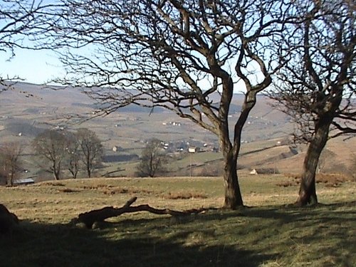 Weardale - Above Cowshill