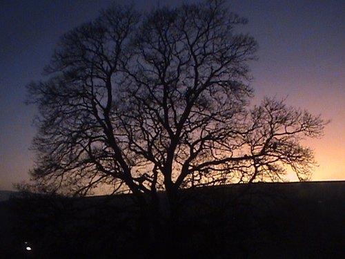 Winter Sunset - Cowshill, Weardale