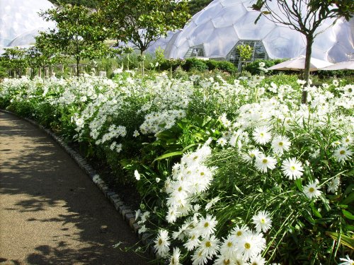 Eden Project