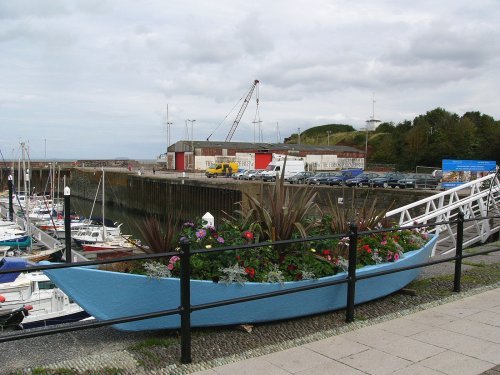 Watchet floral display