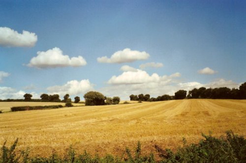 Landscape near Lavenham