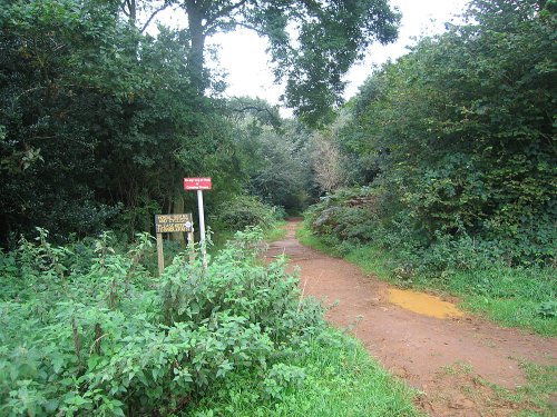 A walk in Shotover Country Park, Oxford