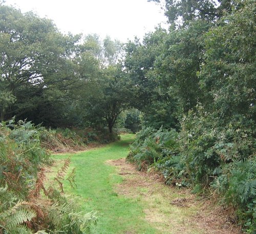 A walk in Shotover Country Park, Oxford