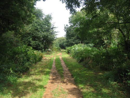 A walk in Shotover Country Park, Oxford