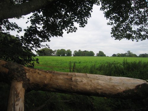 A walk in Shotover Country Park, Oxford