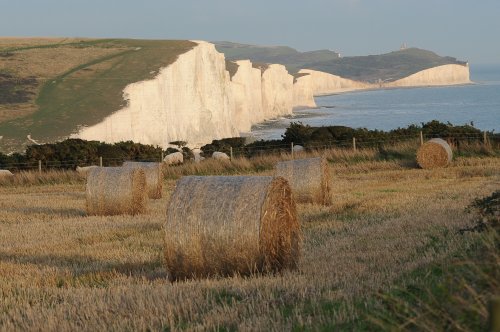 SEVEN SISTERS COUNTRY PARK